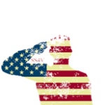 Sanctuary Services logo